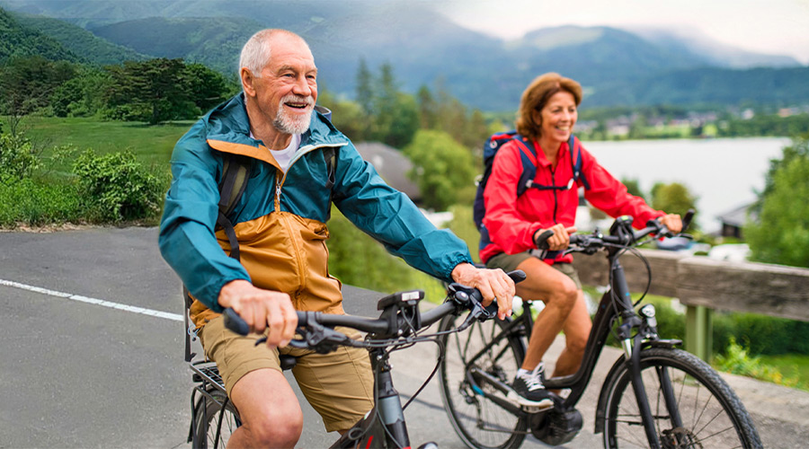 Dissecting Retirement Income Solutions